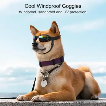 Cão de Óculos de Raça Pequena Ajustável Fácil Desgaste Cão Pequeno Óculos de sol Respirável Eficaz Proteção UV animal de Estimação Óculos de Produtos para animais de Estimação